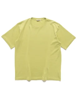Luster Plaiting Tee Light Green
