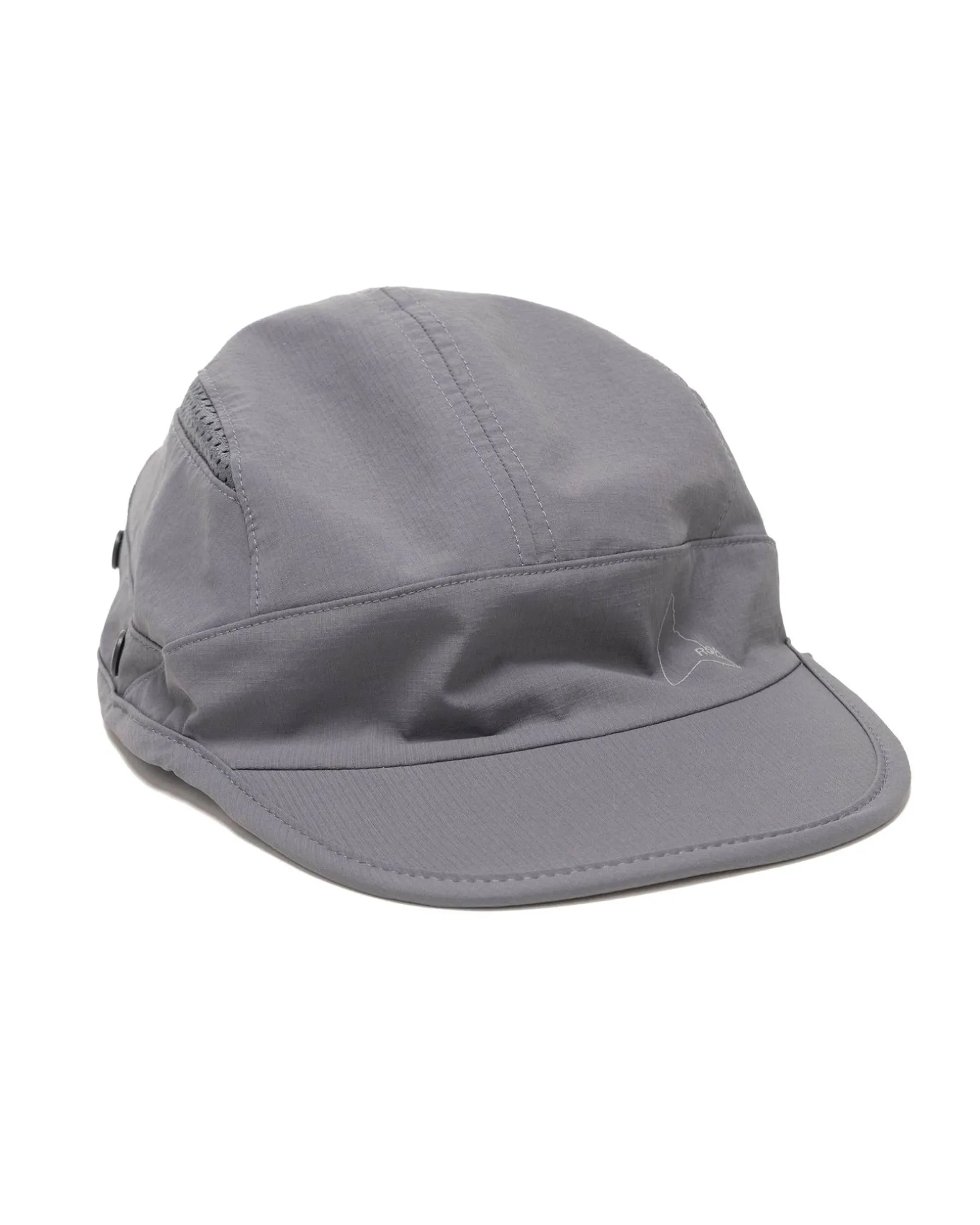 Saharan Cap Mockingbird